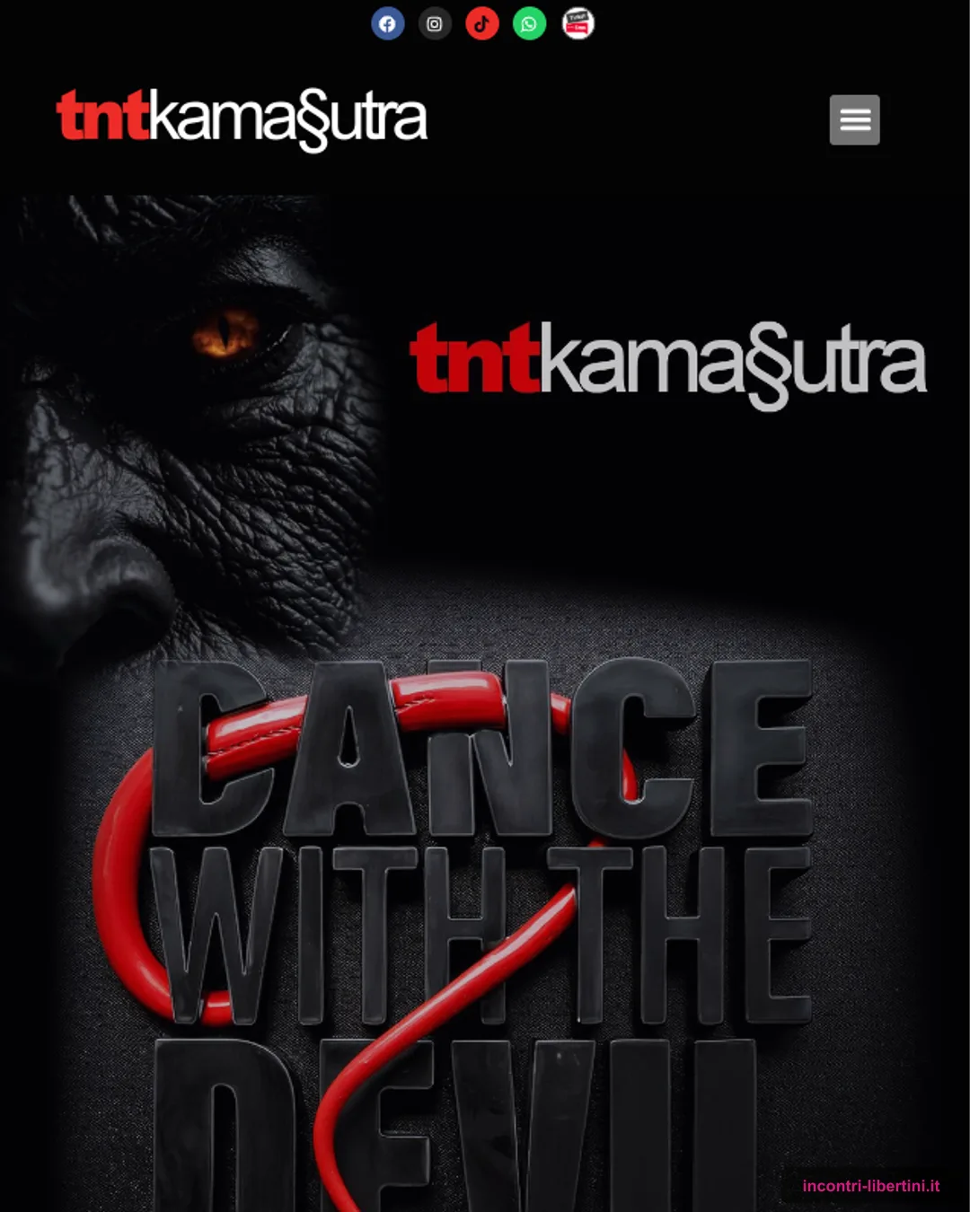 TNT Kamasutra